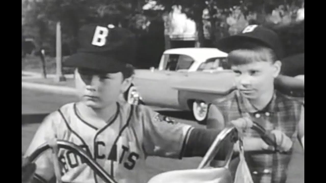 Moochie of the Little League: A Diamond Is a Boy's Best Friend