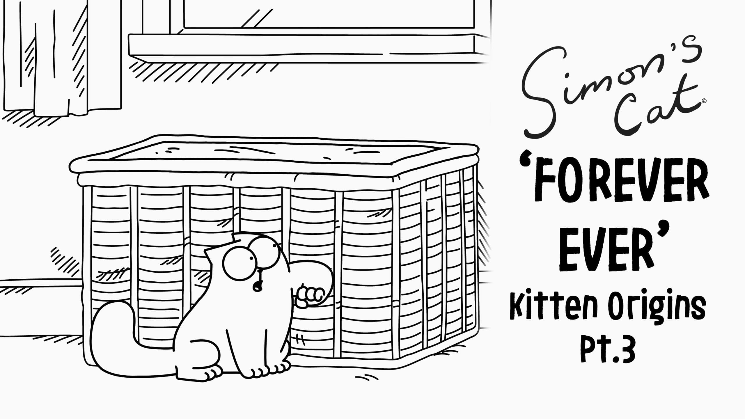 The Kitten Origins (3): Forever Ever
