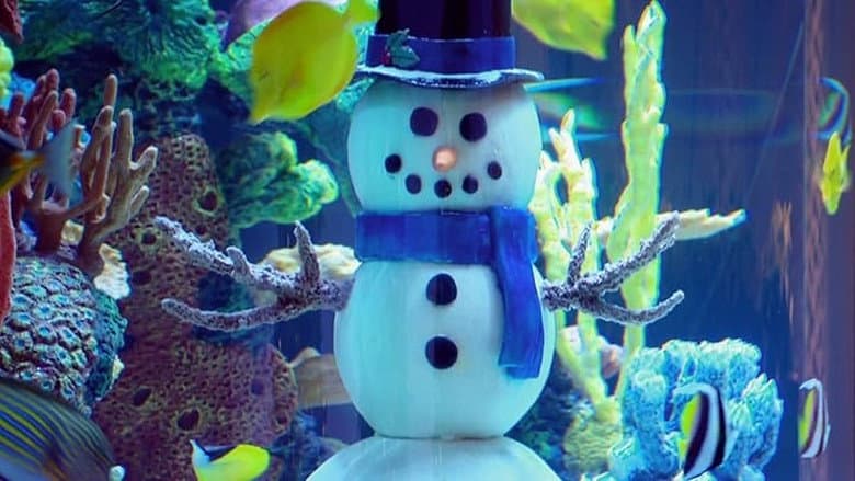 Tanked for the Holidays